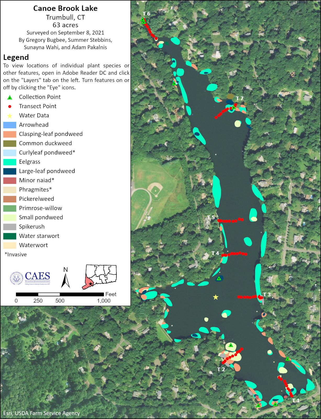 2021 aquatic plant survey map of Canoe Brook Lake in Trumbull, CT.