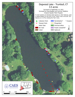 Dogwood Lake in Trumbull, 2022