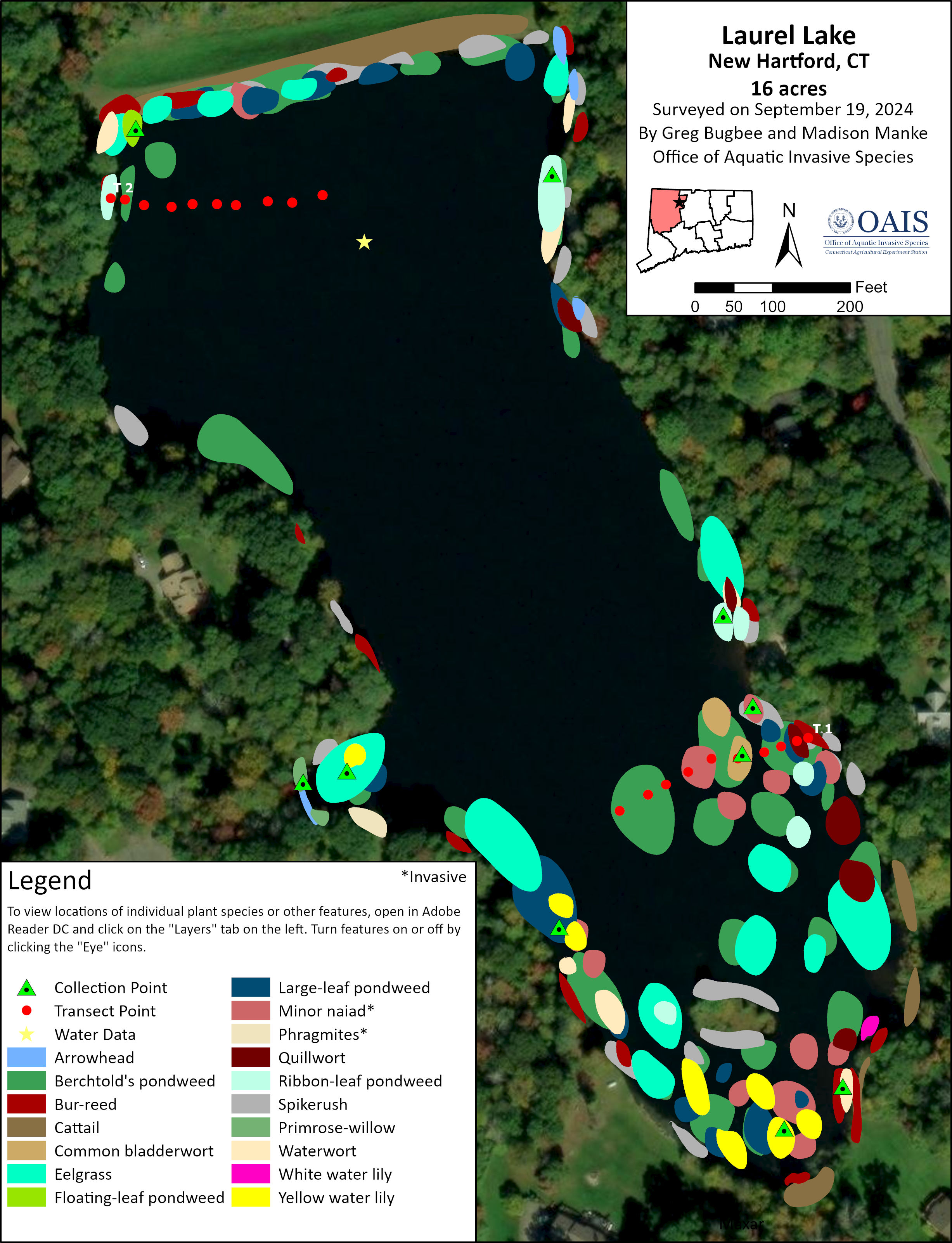 Aquatic vegetation map of Laurel Lake in New Hartford, CT. Different colors represent different plant species.