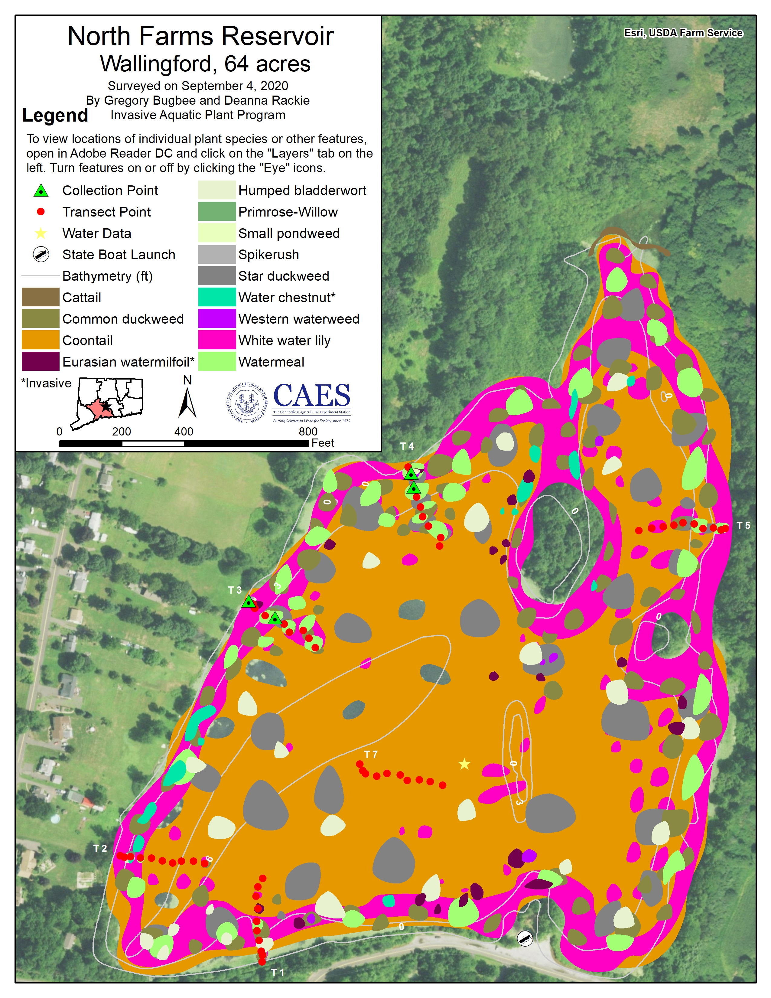 Aquatic plant survey map of North Farms Reservoir in Wallingford, CT from 2020.
