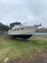 31, Wellcraft Suncru