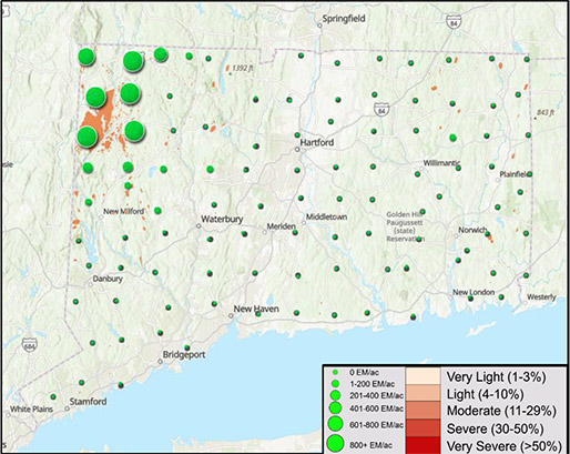 CAES Survey Map Spongy Moth