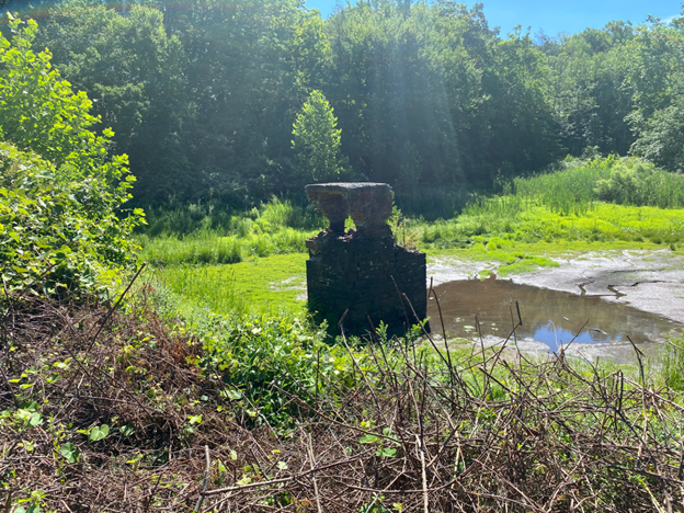 Asylum Reservoir #1 Dam (CVH) 