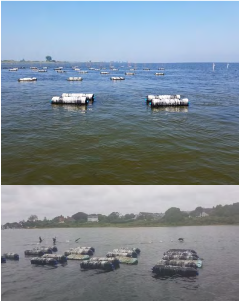 Aquaculture gear, birds